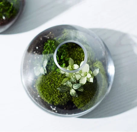 Customized Borosilicate Ornamental Cone Shaped Glass Vase for Home Decoration ecological bottle