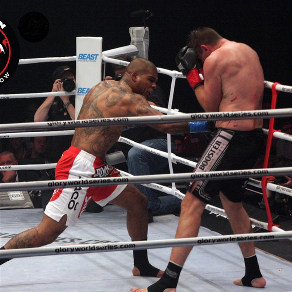 Factory Sale price boxing ring canvas cover With Strong Ropes