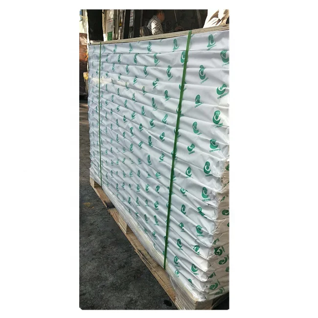 
coated C2S gloss art paper/papier couche 