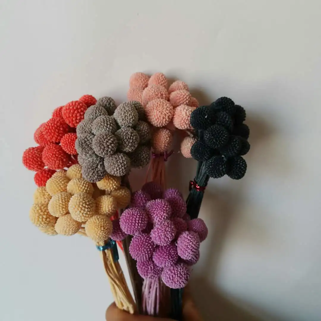 
Christmas Wreaths Decorations Preserved Flower Material for Flower Arrangement 