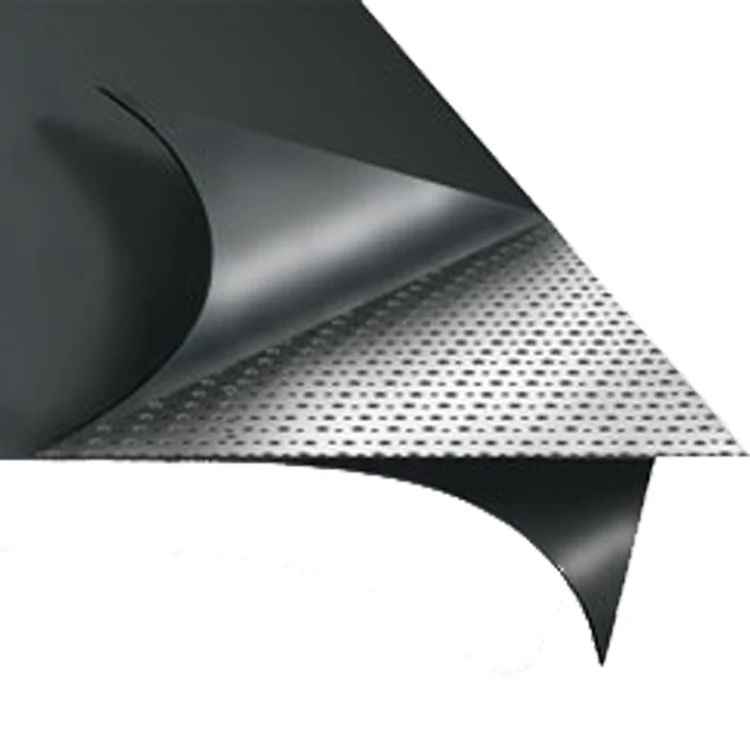 Reinforced Graphite Sheet with Stainless Steel Tanged insert