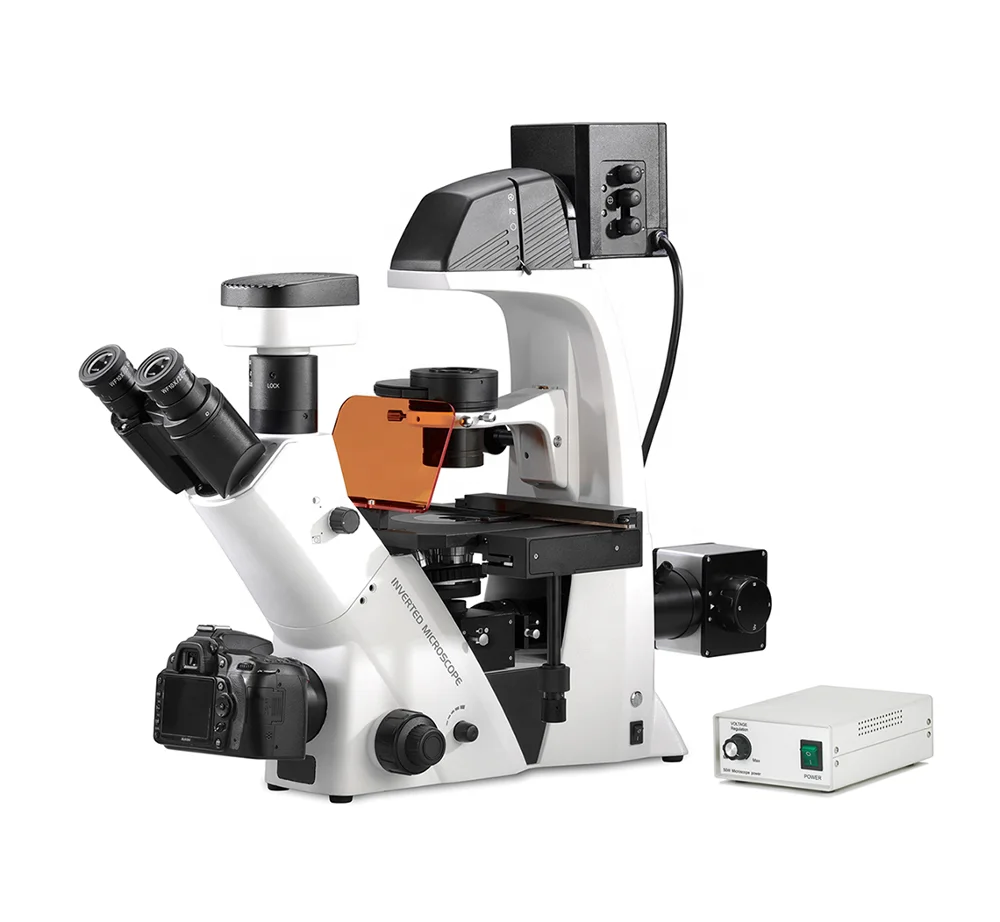 BDS500-FL Trinocular Inverted Fluorescence Microscope