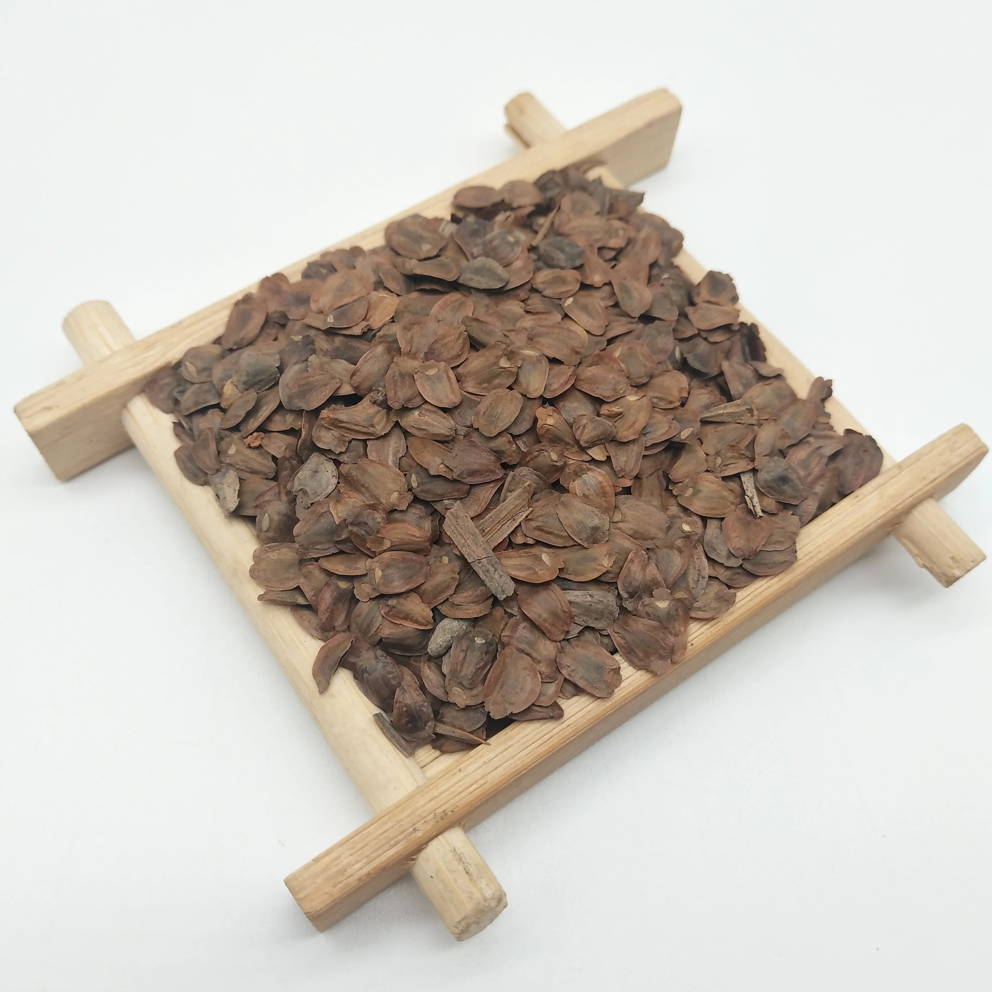 
S301 Competitive price Ornamentel Araucaria plant seeds without shell 