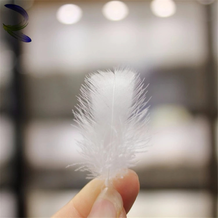 Оптовая продажа 2 см 4 Моющаяся белая утка пуховое перо объемное перо для использования подушки