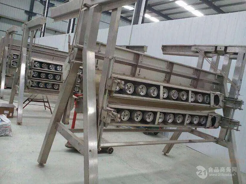 Vertical poultry feather removal machine chicken abattoir