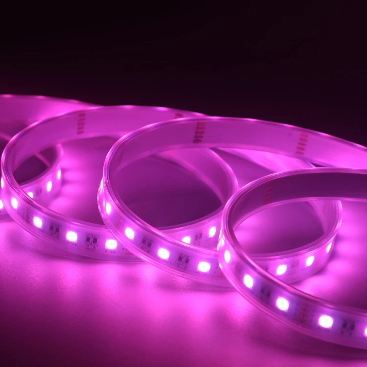 Magic home wifi led strip rgbw Mi.Light control 19.2W 24v waterproof 4in1 rgbw 5050 led strip