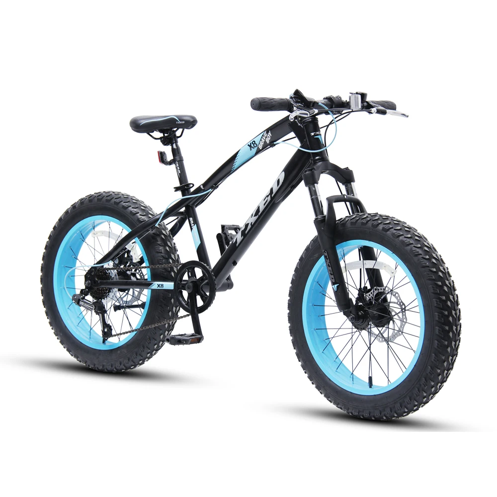 MTB now model mountain snow Bike With Fat Tire