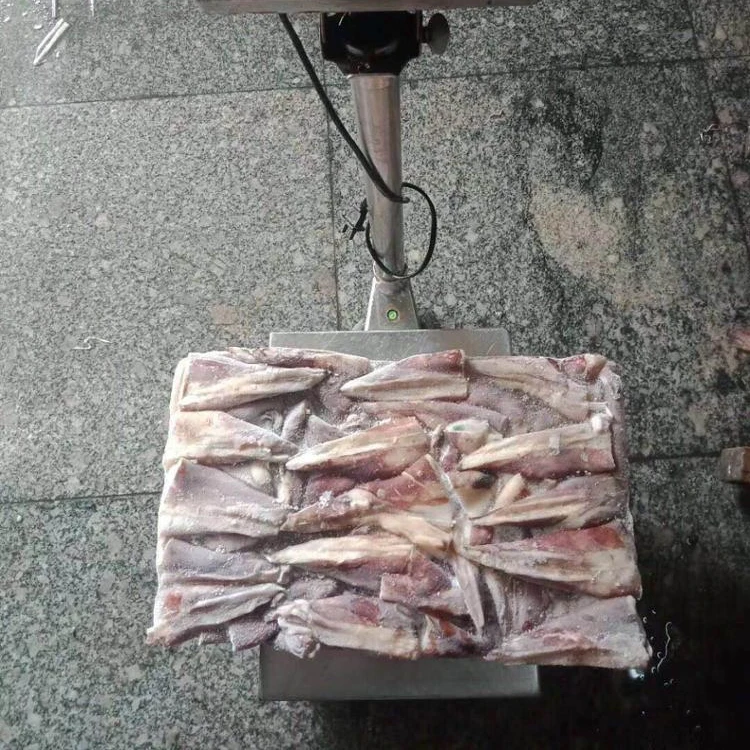 13 cm frozen giant squid tip for sale