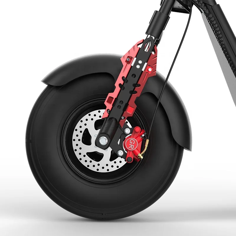 2 Big Wheels Removable Double Battery Electric Scooter 1000W