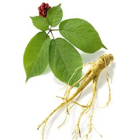 Hot sale Touchhealthy Supply Whole Root Red Ginseng Extract From Korea/China