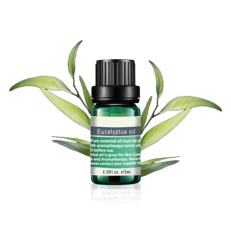 100% Pure Eucalyptus globules oil CAS NO. 8000-48-4,Eucalyptus globules oil Wholesale