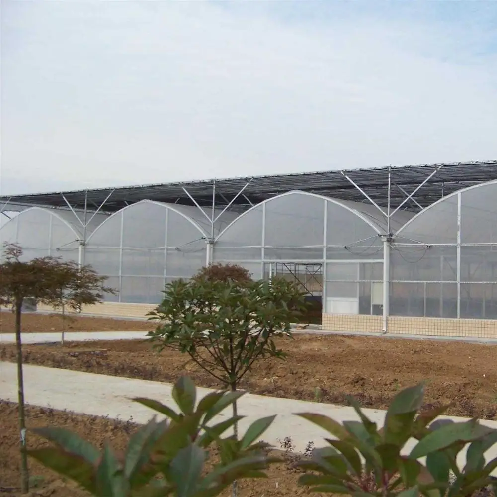 Economical Poly tunnel Plastic Film Agricultural Greenhouse Morocco for Vegetable Planting