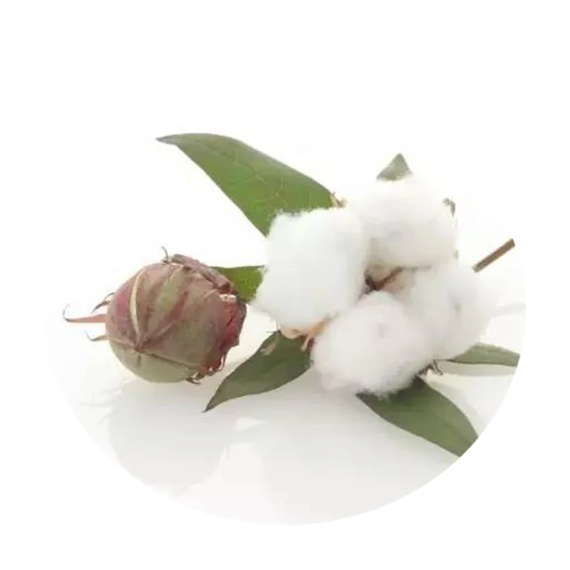 
cotton linter pulp in rolls for CMC application with high brightness above 80 