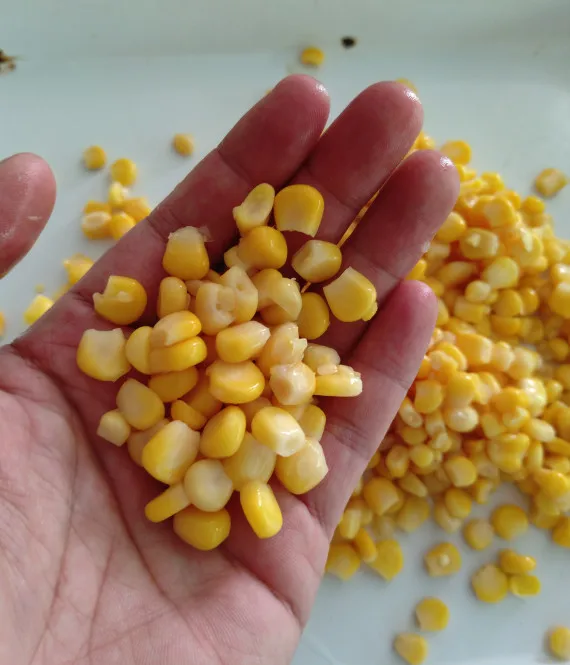 
superior sweet corn Kernel OEM 