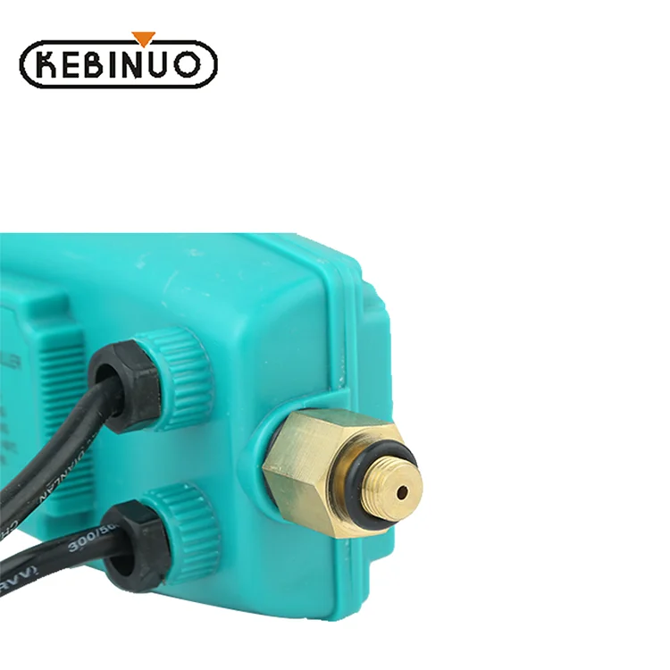 12 Вольт Регулировка давления воздуха автоматический сброс водяной насос давление переключатель