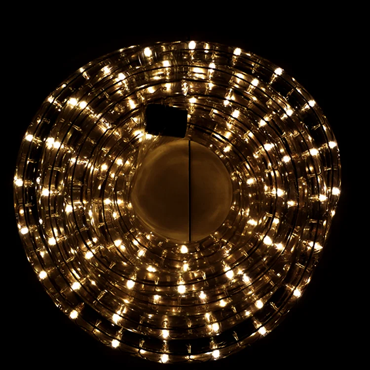 2020 PVC Super Bright  Quick Connect Wire New Style Led Rope Light With Remote Neon Rope Light Dmx Controlled Rope Light