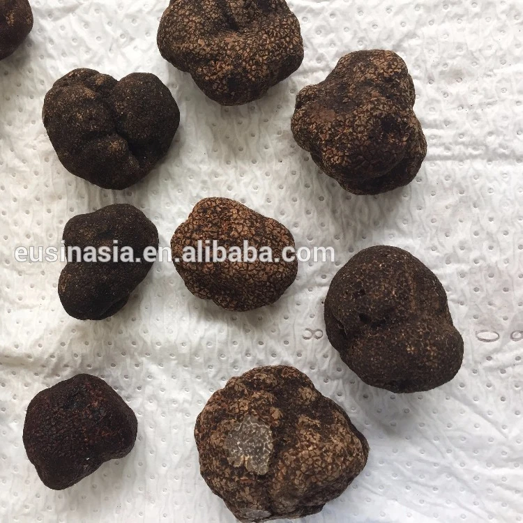 
chinese fresh black truffle for sale/market prices for fresh black truffle mushrooms 