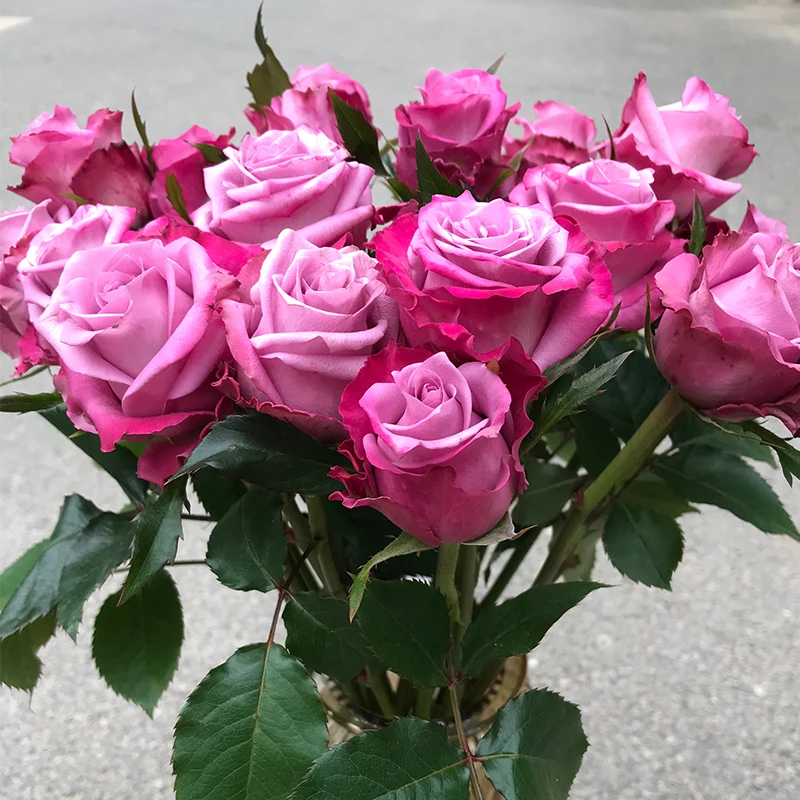 
Fresh cut flowers buy flowers in bulk birthday flower roses 