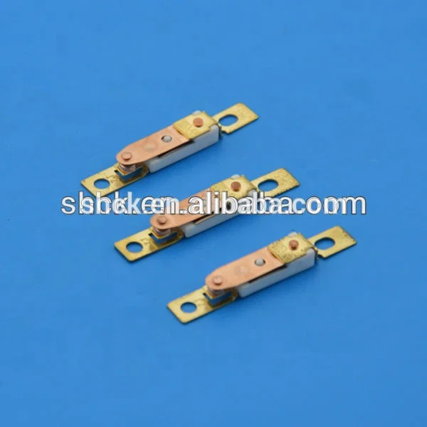 Hair blower thermostat