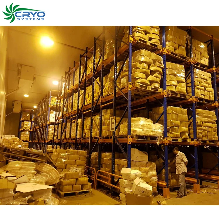 20% power saving Poultry European quality chicken blast freezer cold storage 50 ton for frozen backpack