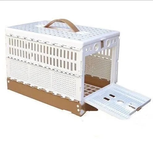 Racing Pigeon Transporter For Sale