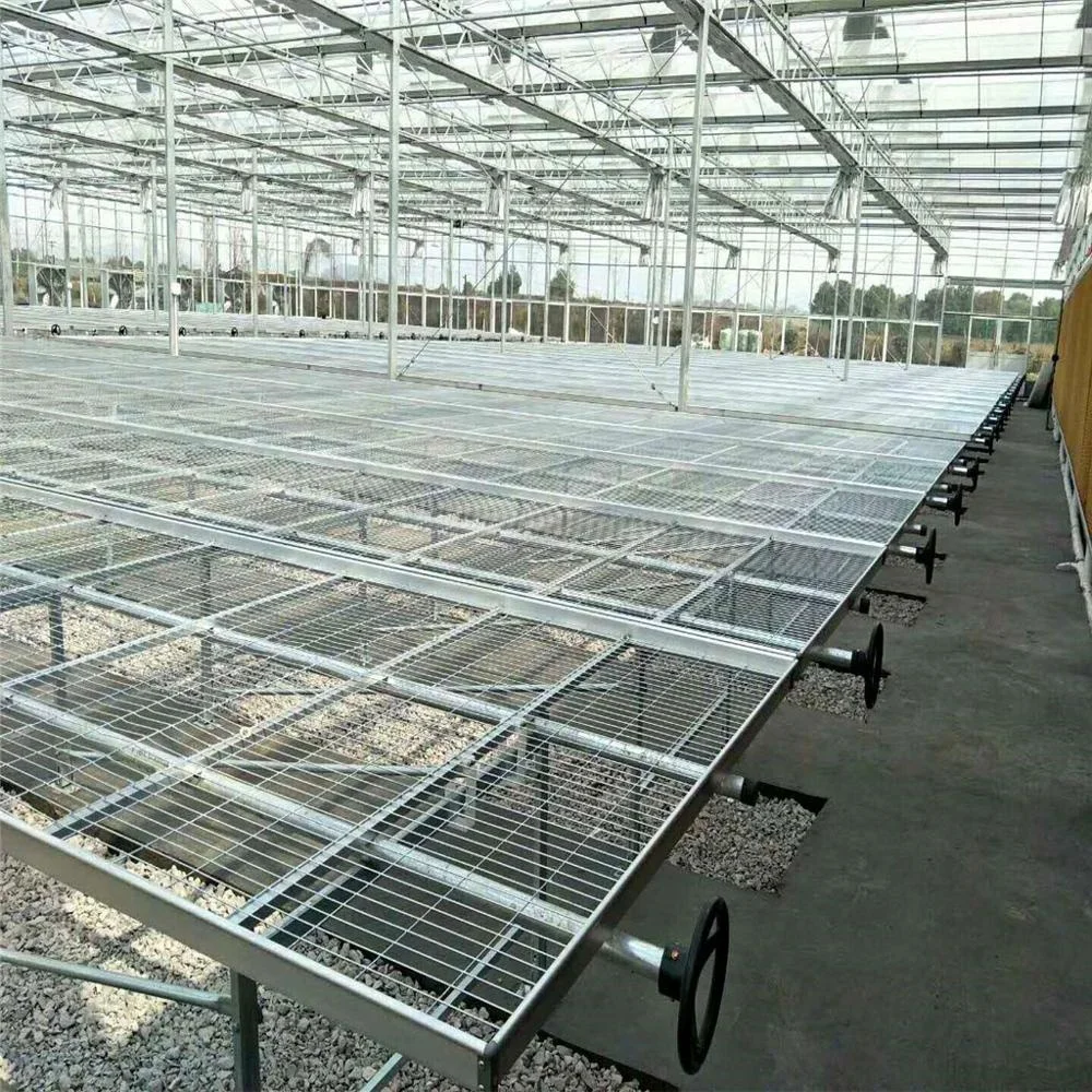 Greenhouse Plant Nursery Equipment Movable Grow Table Seedbed Greenhouse Rolling Benches