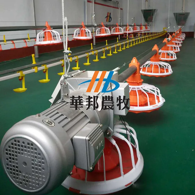 
huabang series automatic chicken poultry farm equipment for broiler chicken house 