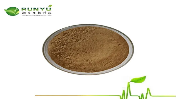 High quality organic okra seed extract powder/Hibiscus Esculentus P.E./okra extract