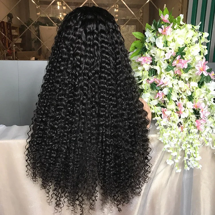 Wholesale Price 150% Density Glueless Natural Black Curly 22inch Long Brazilian Human Hair Wig Lace Front Wig with Baby Hair