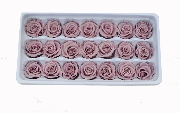 Flora 2-3 cm Champagne Color Preserved Natural Mini Roses Flowers In Box preserved roses