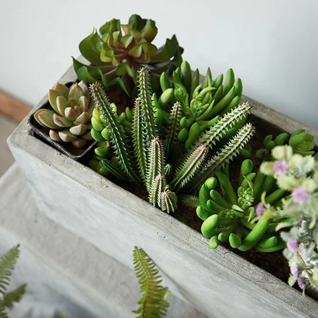 Practical decorative flowerpot for succulent planting