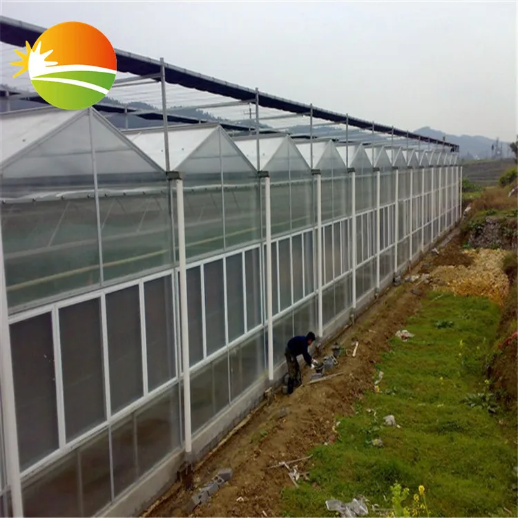 green house - all kind of greenhouse supplier