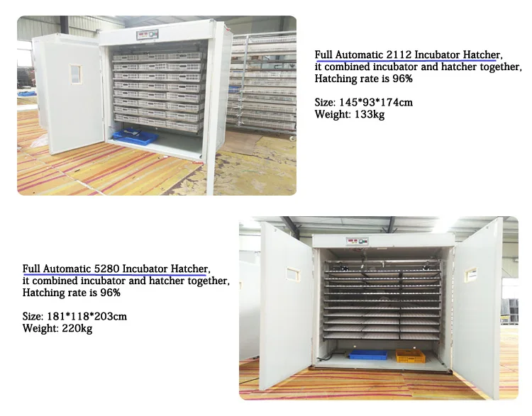 Экологический энергосберегающий инкубатор для инкубатора яиц