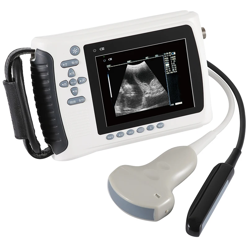Ultrasound Scanner For Sheep
