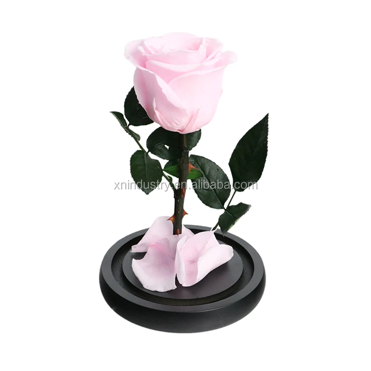 High Quality Valentines Day Gifts Natural Roses Boxes the Little Prince Rose Eternal Preserved Rose in Glass Dome