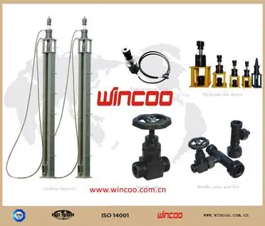 Hydraulic Jack for steel tank construction