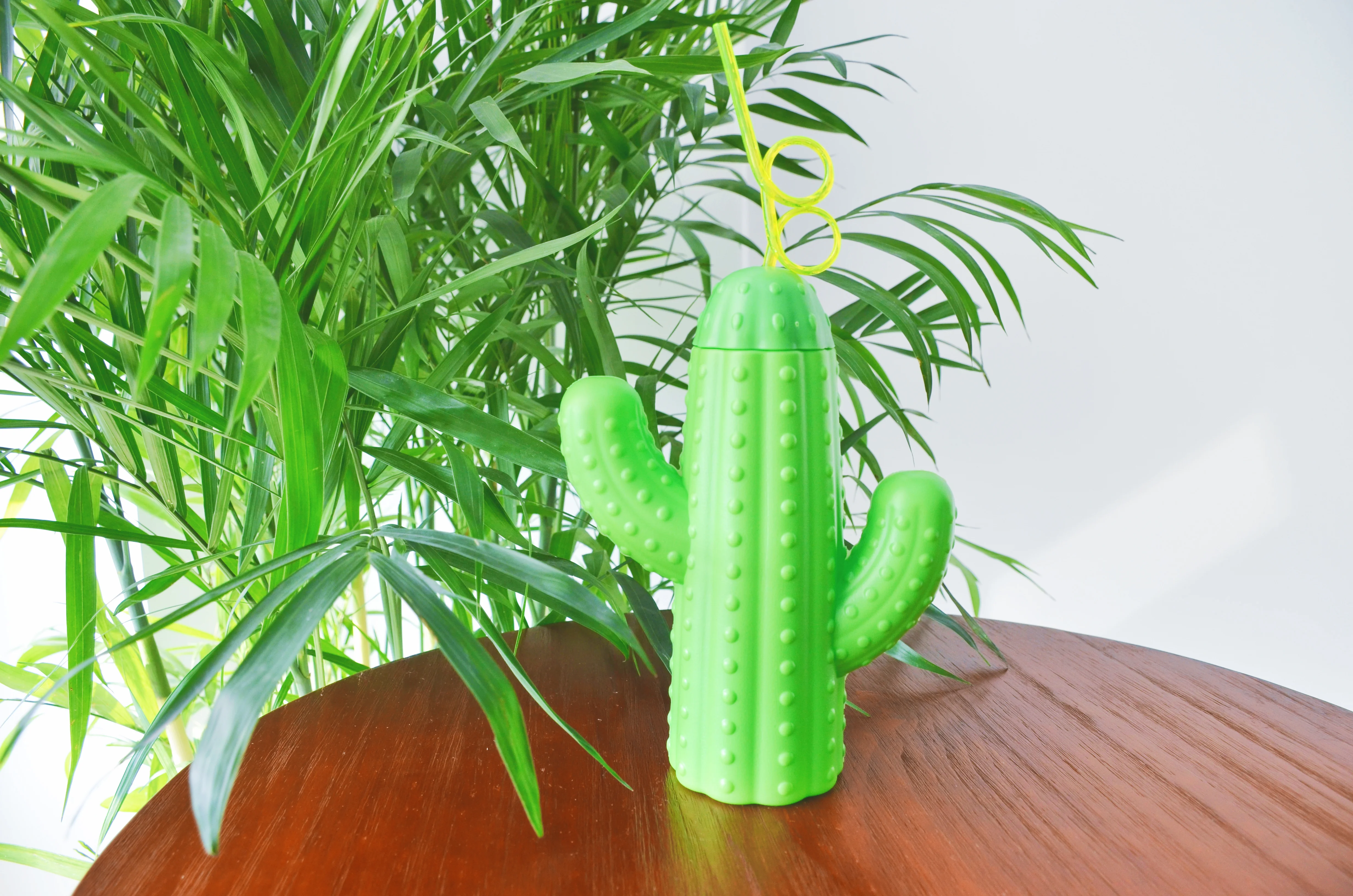 Creative Shape 550ML Cactus Shape Plastic Drinking Water Bottle With Straw