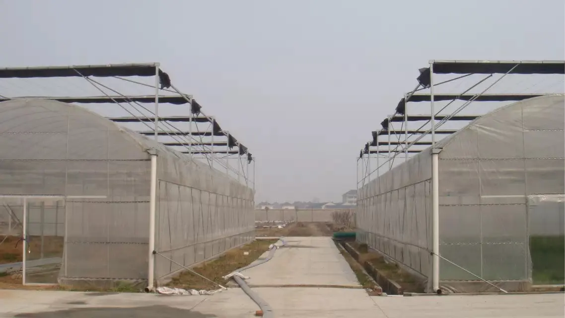 
long life multi span polycarbonate sheet greenhouse 10mm 