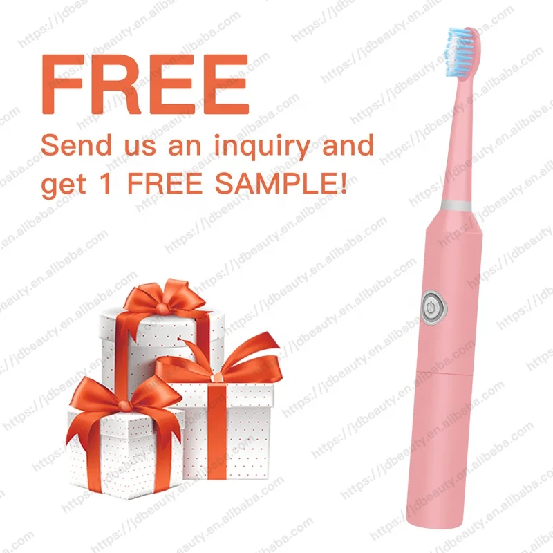Wholesale PT8 Adult Slim Waterproof Automatic Sonic Electric Vibration Cheap Battery Powered Toothbrush OEM