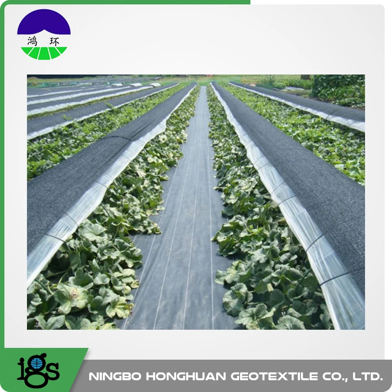 Чжэцзян Honghuan SWG длинные волокна Geotextile