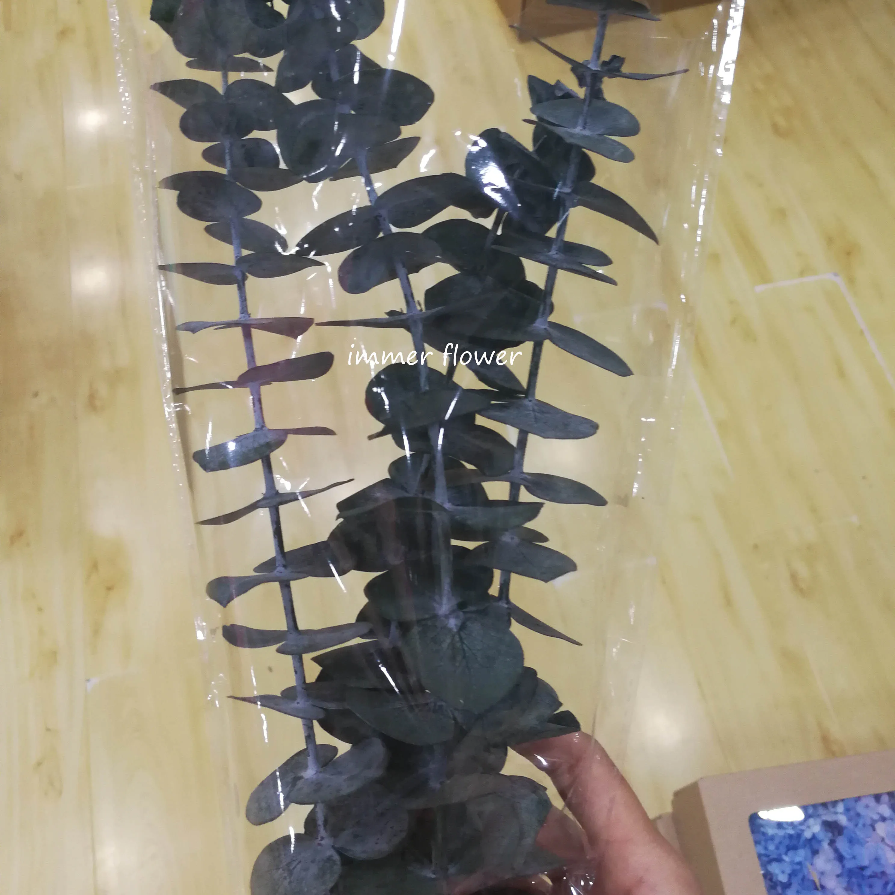 Preserved Flower Eucalyptus Green Leaves Dry Flower For Sale