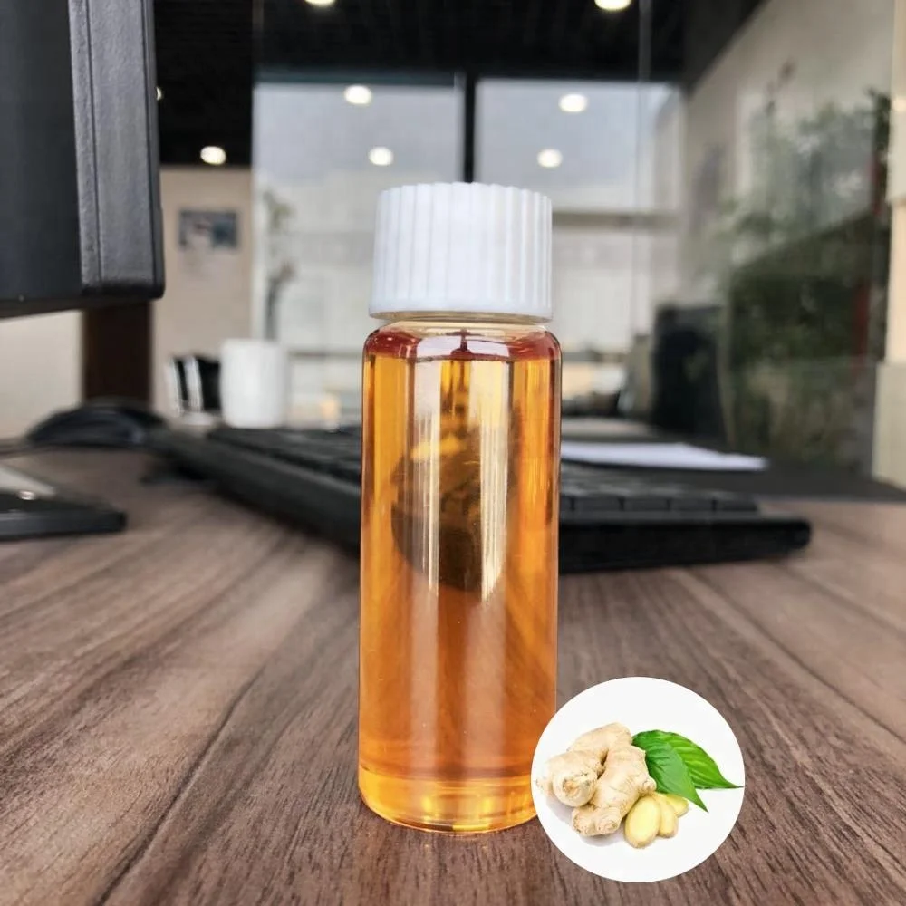 
Exporter Hot Sale With Low Price 100% Pure Ginger Essential Oil 