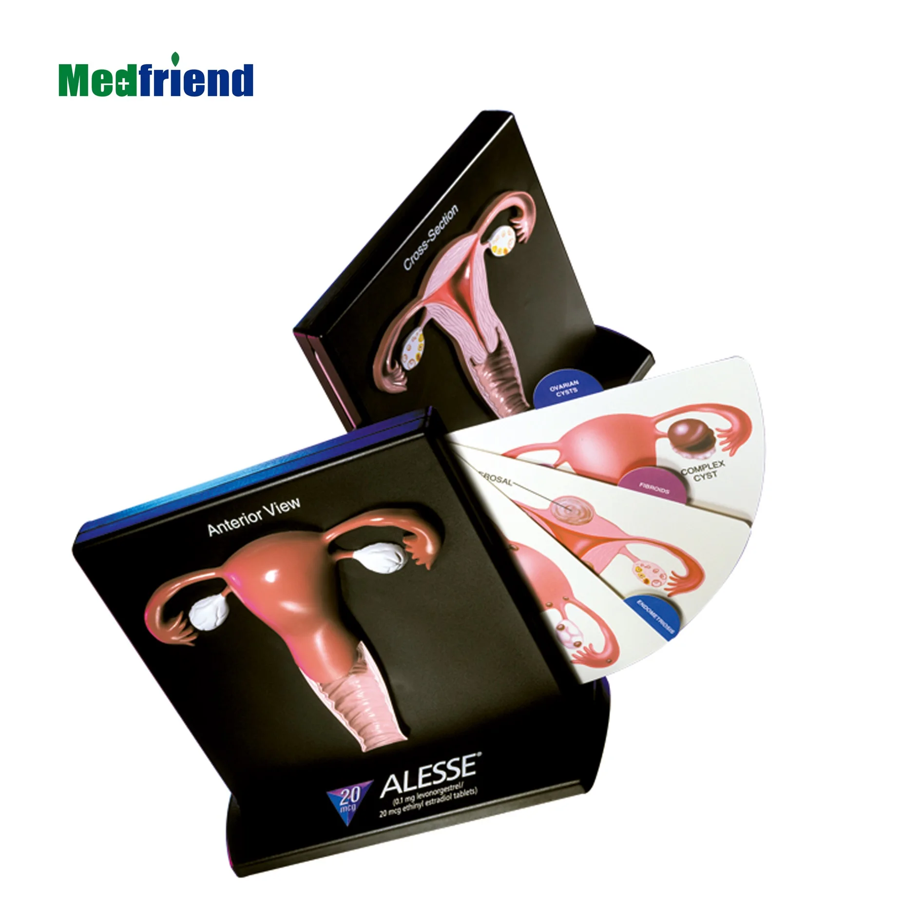 Factory Price Advanced Anatomical Female Health Uterus Model Model