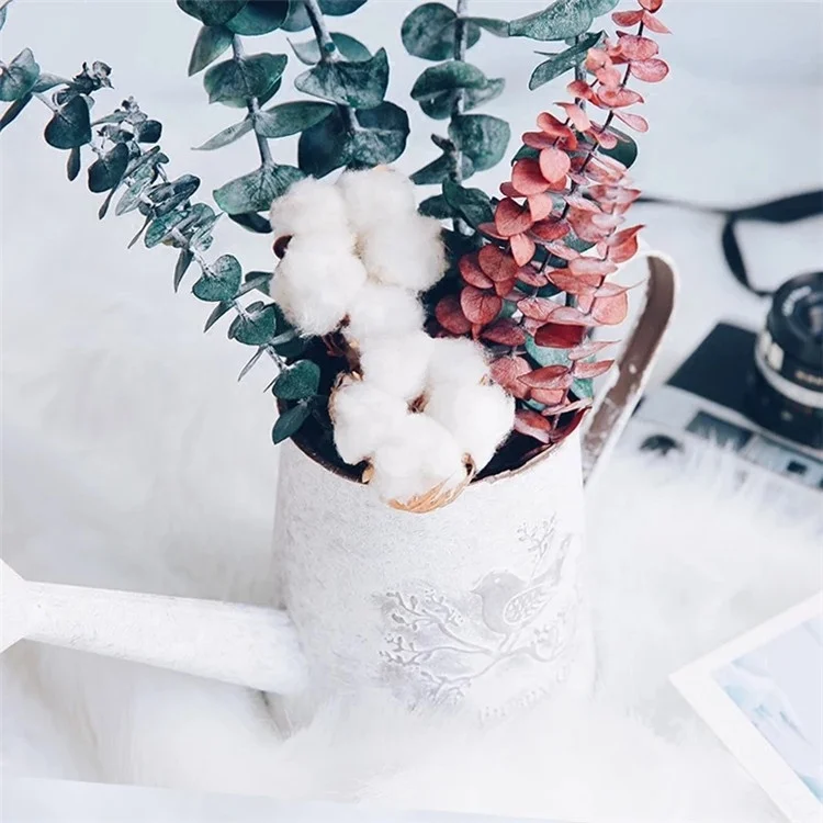 K-3117 Hot Sale Wholesale Preserved Willow Silver Dollar Eucalyptus