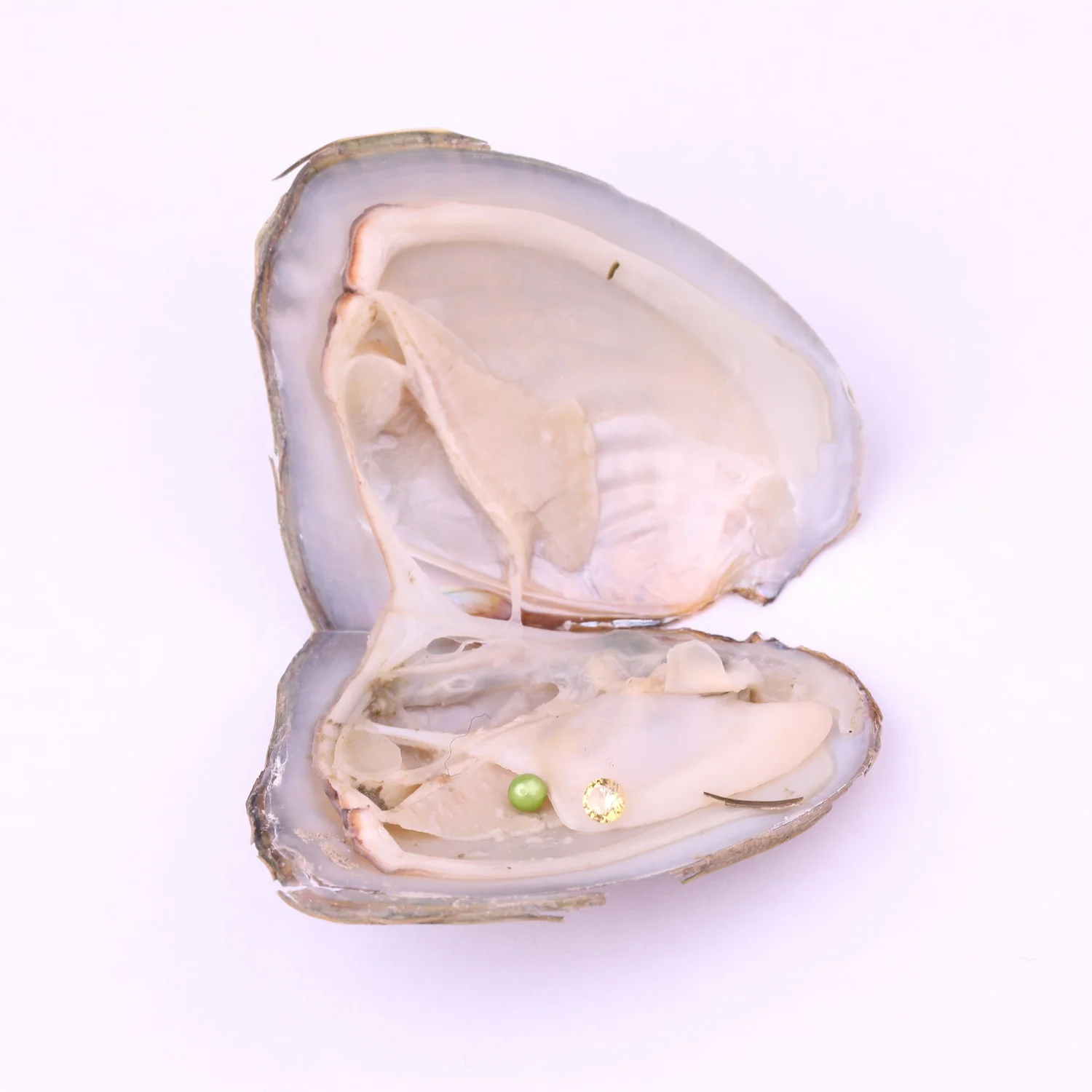 AAA+ grade 3-4mm Mini Natural pearl with 4mm gemstones in Freshwater Oyster Shells