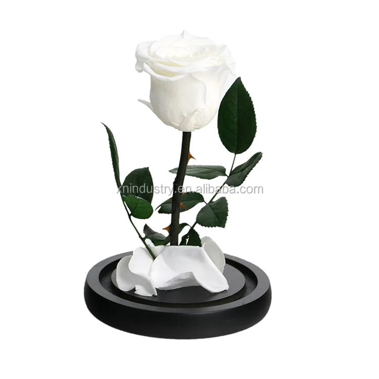 High Quality Valentines Day Gifts Natural Roses Boxes the Little Prince Rose Eternal Preserved Rose in Glass Dome