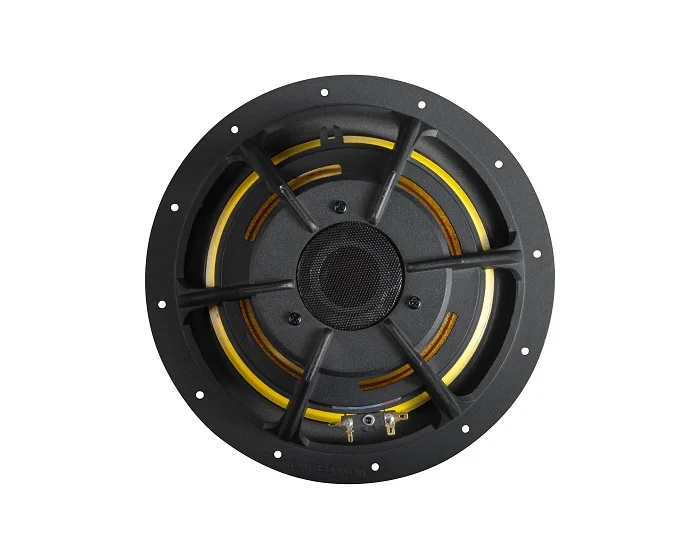 HiVi Hi-Fi 300W woofer speaker 10 inch Woofer unit suitable for DIY speaker Build D10G