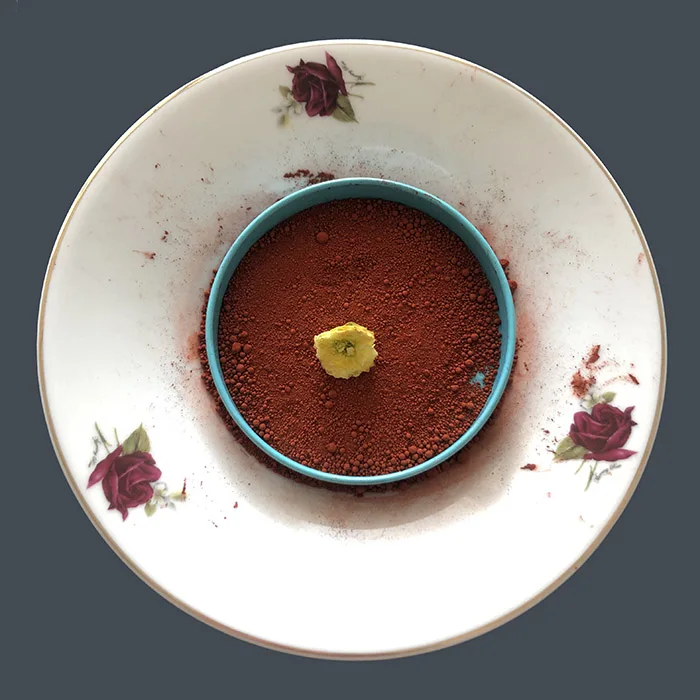 Quality best price Iron Oxide red green black green Pigment