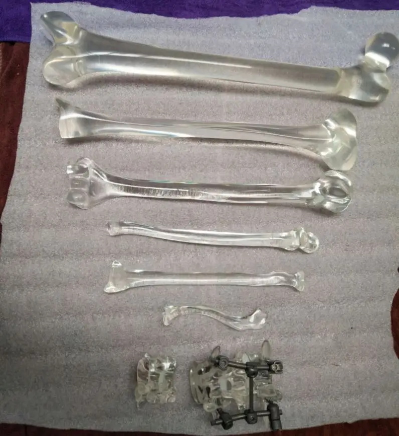 GelsonLab HSBM-071 высококачественная прозрачная модель черепа из смолы