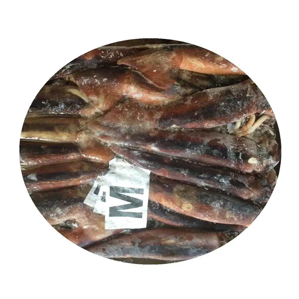 200-300G Frozen Argentina Squid